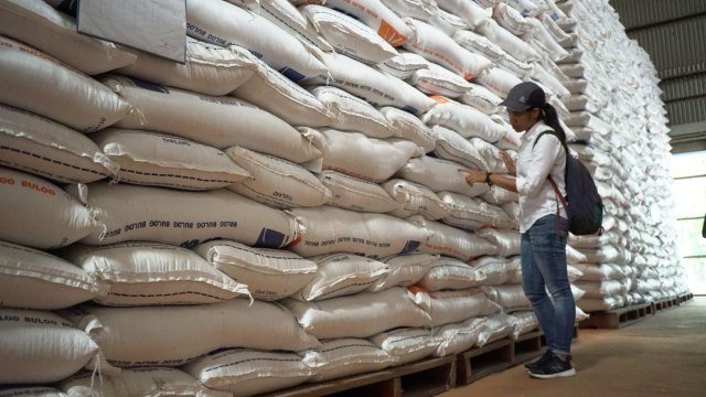 Bapanas Jelaskan Tiga Indikator Utama Indonesia Menuju Swasembada Beras